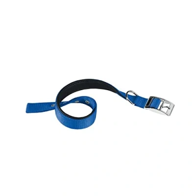 Afbeelding van Ferplast Hondenhalsband Daytona 53 X 2,5 Cm Staal/nylon Blauw