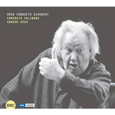 Afbeelding van Sandor Vegh &amp; Camerata Salzburg Conducts Schubert (2 CD)