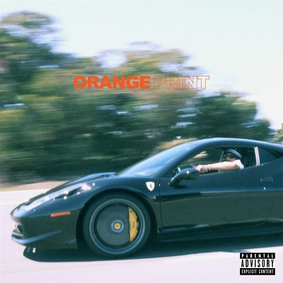 Afbeelding van Larry June Orange Print (CD)