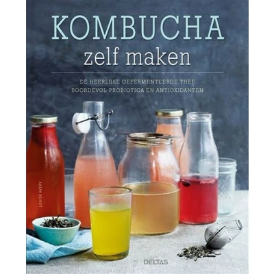 Image de Kombucha zelf maken