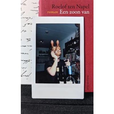 Afbeelding van Een zoon van