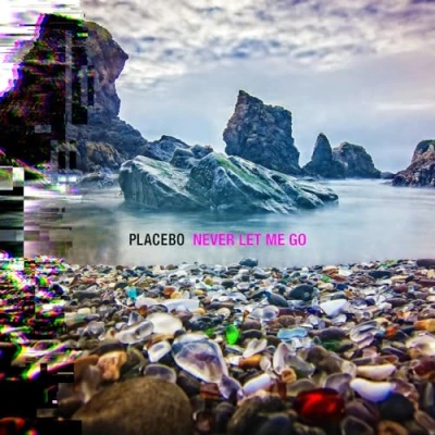 Afbeelding van Placebo Never Let Me Go (CD)
