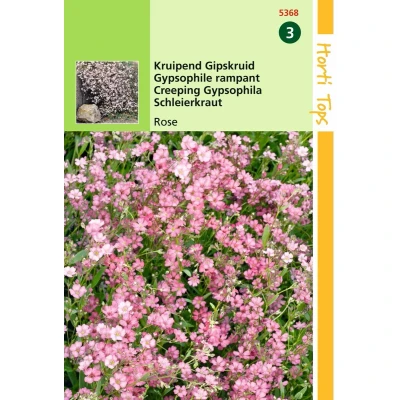 Afbeelding van 2 stuks Hortitops Gypsophila Repens Rose