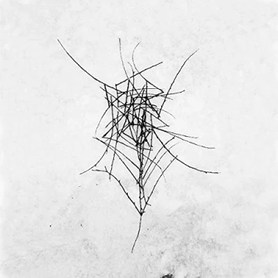 Afbeelding van Dead Raven Choir Schmerzensgewalt (CD)