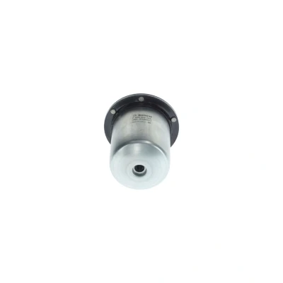Afbeelding van BOSCH F 026 402 165 Brandstoffilter Pijpfilter 10mm RENAULT: Kangoo II / Grand Kangoo, Clio 4, Express, DACIA: Lodgy, SANDERO 2