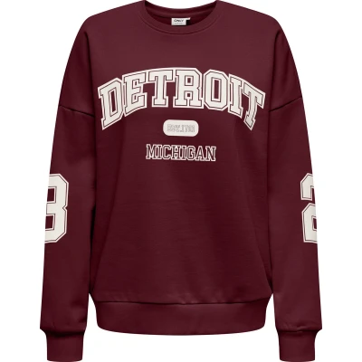 Afbeelding van ONLY ONLVICTORY L/S O NECK FIT SWT Dames Sweaters
