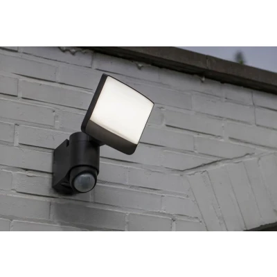 Afbeelding van LUTEC Sunshine Buitenverlichting LED Wandlamp met Sensor Donkergrijs