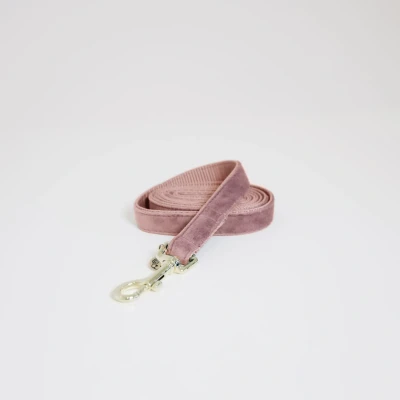 Image de Kentucky Laisse pour Chien velours Rose Vieux 1,2m L