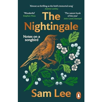 Afbeelding van The Nightingale