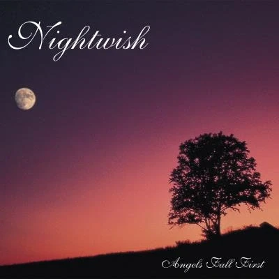 Afbeelding van Nightwish Angels Fall First (2 LPs)