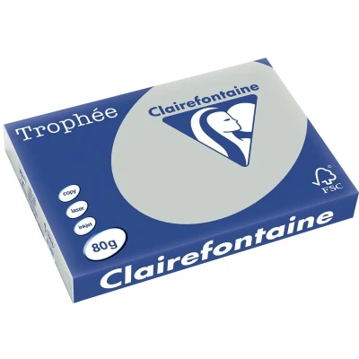 Afbeelding van Clairefontaine Trophée Pastel, Gekleurd Papier, A3, 80 G, 500 Vel, Lichtgrijs Papier
