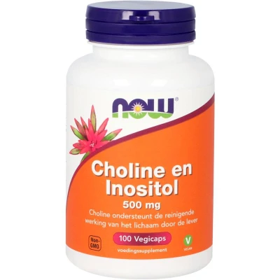 Afbeelding van Choline En Inositol 500 Mg Default Title