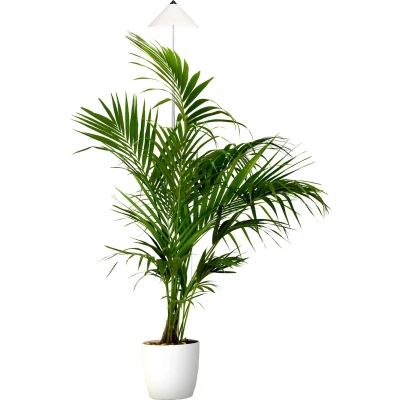 Afbeelding van Venso LED plantenlamp groei SUNLiTE XL 25 W Weiß 230 V vast ingebouwd Neutraalwit 1 stuk(s)