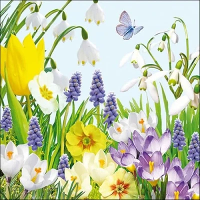 Afbeelding van Ambiente Spring Time papieren servetten