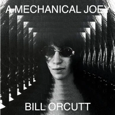 Afbeelding van Bill Orcutt A Mechanical Joey (LP)