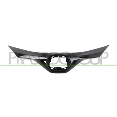 Afbeelding van PRASCO TY7022305 Frame, radiateurgrille