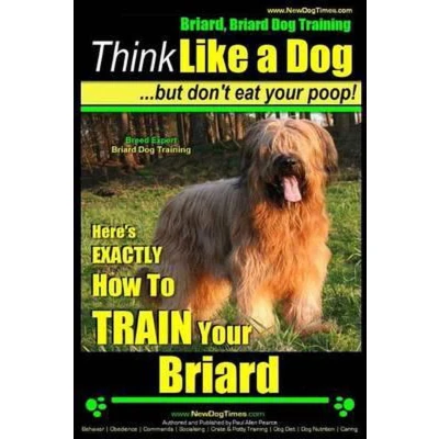 Afbeelding van Briard Dog Training