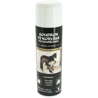 Afbeelding van ODM Teer Noors 500ml