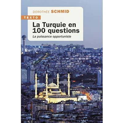 Afbeelding van La Turquie en 100 questions