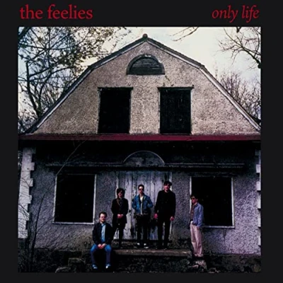Afbeelding van Feelies Only Life (CD)