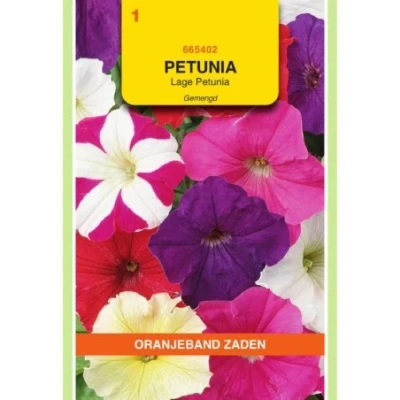 Afbeelding van Petunia laag gemengd