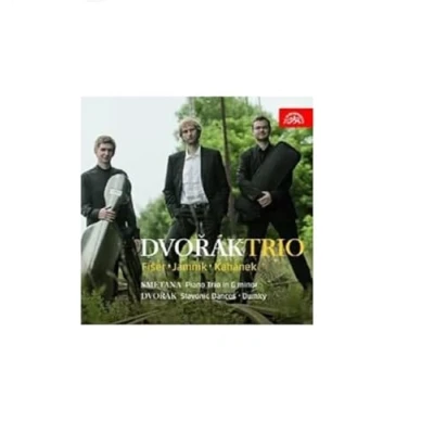 Afbeelding van Dvořák Trio Dvořák: Dumky, Slavonic Dances Smetana: Piano In G minor (CD)