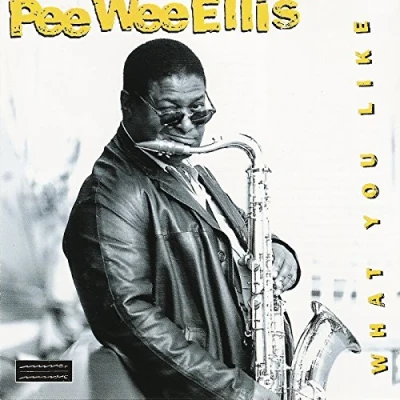 Afbeelding van Pee Wee Ellis What You Like (CD)