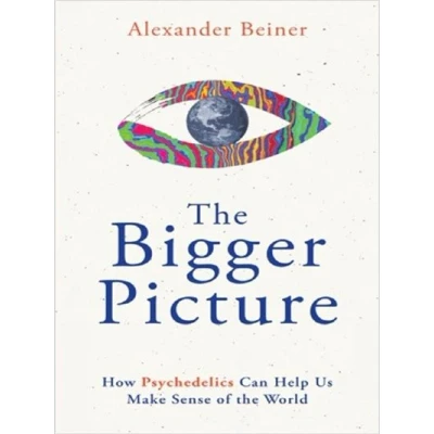 Image de BIGGER PICTURE