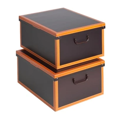 Afbeelding van Kanguru Set van 2 opbergdozen met deksel, kartonnen doos, opslag voor kleding, opbergmeubels, slaapkamer, kantoor, opbergmand, lade organizer, 40 x 50 25 cm, CUOIO/LEER, groot