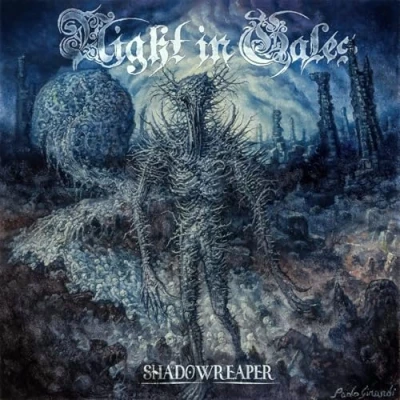 Afbeelding van Night In Gales Shadowreaper (LP)