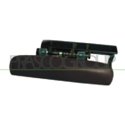 Afbeelding van PRASCO CI4208004 Deurgrepen Buiten, Links voor Met grondlaag CITROËN: Xsara Estate, Hatchback