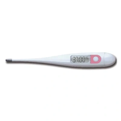 Afbeelding van Thermometer twee decimalen