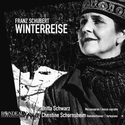 Image de Franz Schubert: Winterreise