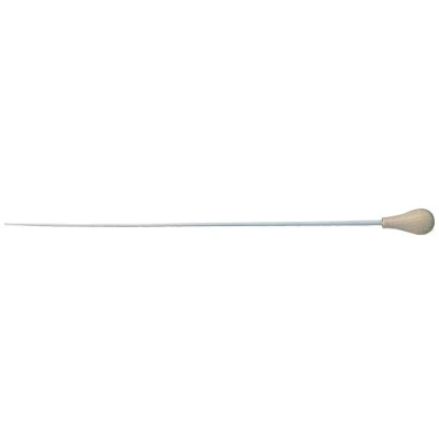 Image de Baguette de direction n10 41cm Gewa