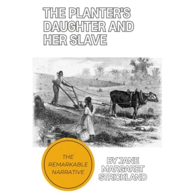 Afbeelding van The Planter&#039;s Daughter and her Slave