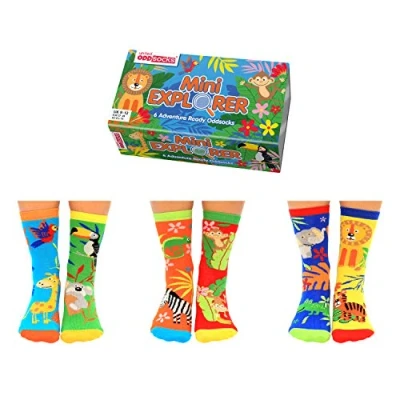 Afbeelding van Mismatched Kindersokken Mini Explorer 6 verschillende sokken in Geschenkdoos Maat 27 30