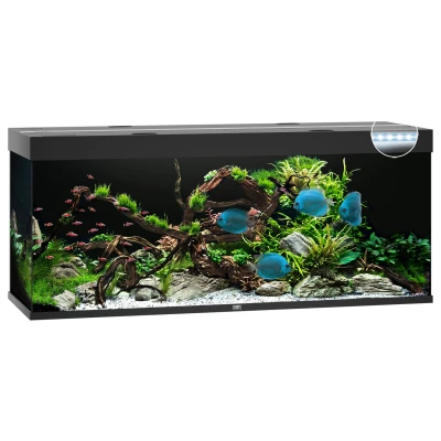Afbeelding van Juwel aquarium Rio 450 LED met filter zwart Gebr. de Boon
