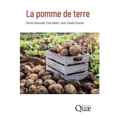 Image de La pomme de terre