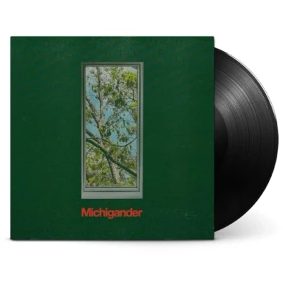 Afbeelding van Michigander (LP)