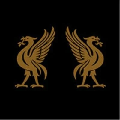 Afbeelding van Joey/Jon Snodgrass Cape Liverbirds (LP)