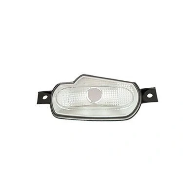 Afbeelding van VAN WEZEL 2916906 Knipperlichten Transparent Rechts voor Zonder lamphouder SMART: Forfour II Hatchback