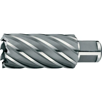 Afbeelding van Phantom HSS EX kernboor, snijdiepte 55 mm Ø25