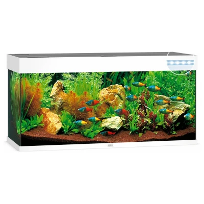 Afbeelding van Juwel Aquarium Rio 240 Led 121x41x50 cm Aquaria Wit Ca. L