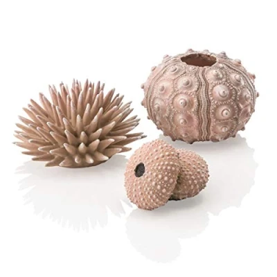 Afbeelding van biOrb zeeëgelset naturel