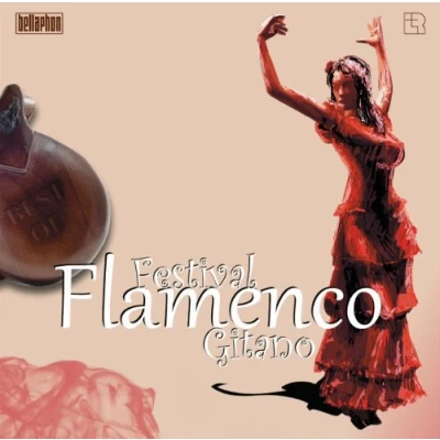 Afbeelding van Various Artists Festival Flamenco Gitano Best Of (CD)