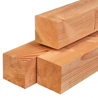 Afbeelding van Paal douglas 14,0x14,0x600 cm Tuindeco
