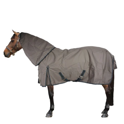 Afbeelding van BR Regendeken Combo Classic 1200D 0g Tan 145/195