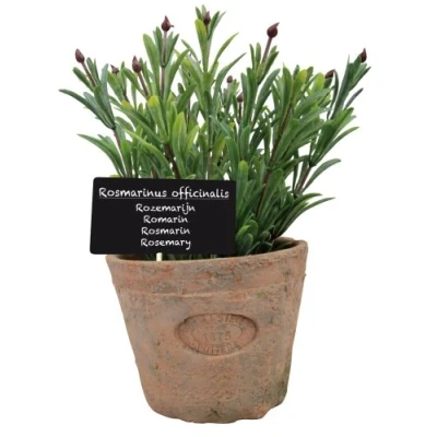 Afbeelding van Esschert Design Kunstplant Rosemarijn in pot AH012