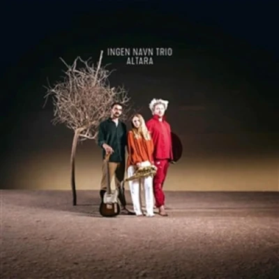 Afbeelding van Ingen Navn Trio Altara (LP)