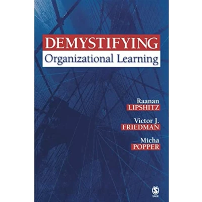 Afbeelding van Demystifying Organizational Learning